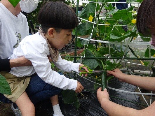 https://www.ysjk.jp/tanpopo/blog/c74acb51df25ed17110e9a1a8aeba598523a613f.jpg