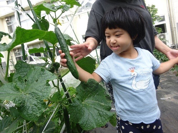 https://www.ysjk.jp/tanpopo/blog/eedd0f597a144c2e92c4ffca923fa38849ffe67c.jpg