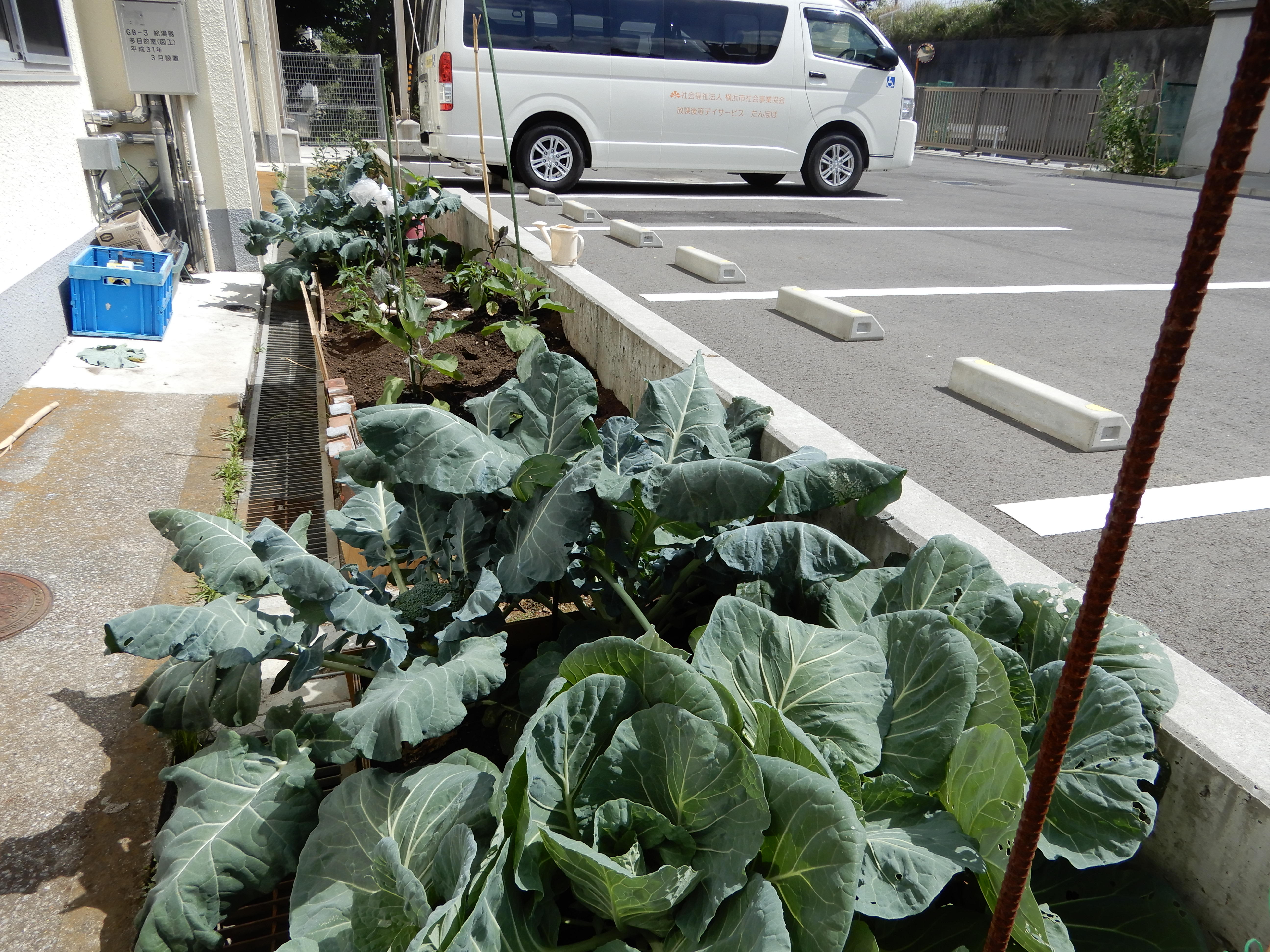 DSCN2064.JPG