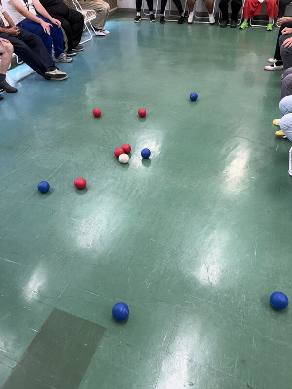 みんなでボッチャに挑戦！の画像